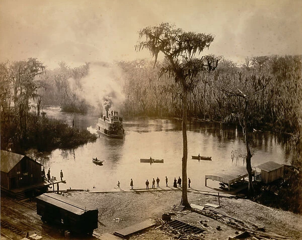 Stern-Wheeler Arriving at Silver Springs, Florida, after an Overnight Run up the St. John