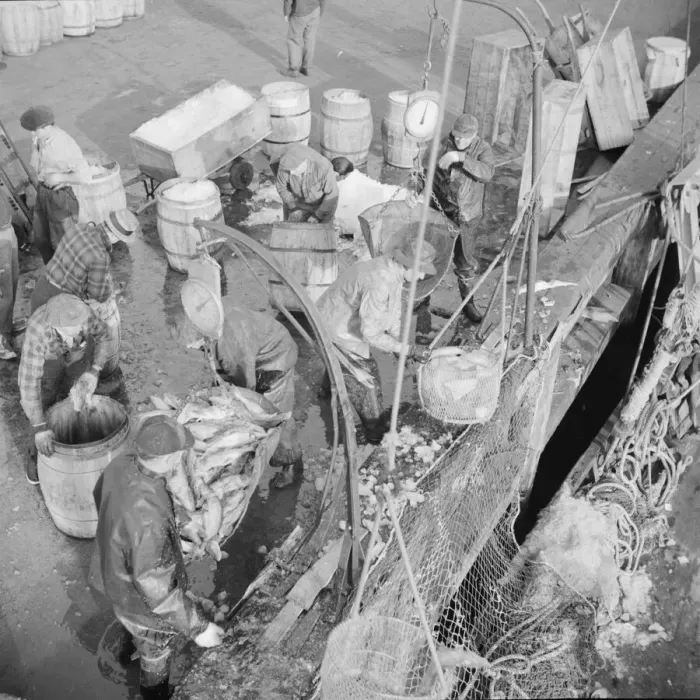 Framed Print : Stevedores at the Fulton fish market unloading fish from boats caught... New York, 1943. Creator: Gordon Parks Framed Print : Stevedores at the Fulton fish market unloading fish from boats caught... New York, 1943. Creator: Gordon Parks