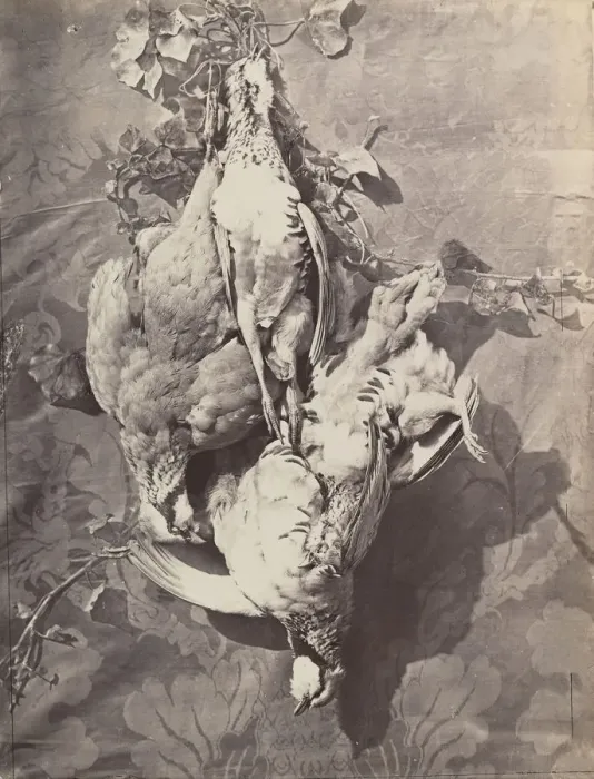Framed Print : [Still Life with Game Birds], 1859. Creator: Charles Negre