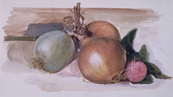 Framed Print : Still-Life - Study of Onions, 1871-75. Creator: Sir Edward Coley Burne-Jones Framed Print : Still-Life - Study of Onions, 1871-75. Creator: Sir Edward Coley Burne-Jones