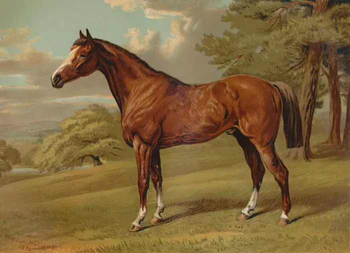 Framed Print : Stilton A Hunter, c1879. Creator: Aldfred Sheldon Williams