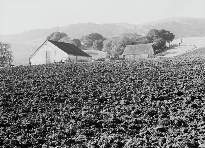 Framed Print : Stock ranch and plowed field, Contra Costa County, California, 1938. Creator: Dorothea Lange Framed Print : Stock ranch and plowed field, Contra Costa County, California, 1938. Creator: Dorothea Lange
