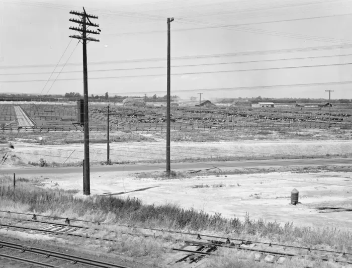 Framed Print : Stockyards seen from overpass, Between Tulare and Fresno, California, 1939. Creator: Dorothea Lange Framed Print : Stockyards seen from overpass, Between Tulare and Fresno, California, 1939. Creator: Dorothea Lange