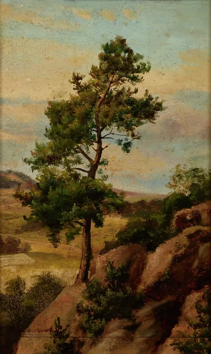 Framed Print : Stone Pine, before 1870. Creator: Heinrich Grabinski Framed Print : Stone Pine, before 1870. Creator: Heinrich Grabinski