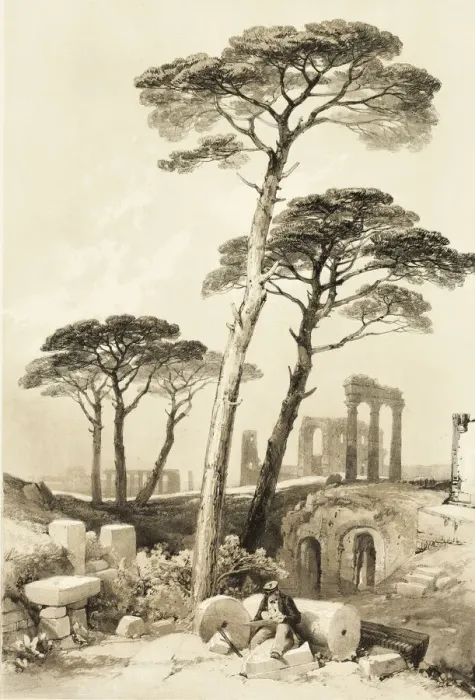 Framed Print : Stone Pines, from The Park and the Forest, 1841. Creator: James Duffield Harding Framed Print : Stone Pines, from The Park and the Forest, 1841. Creator: James Duffield Harding