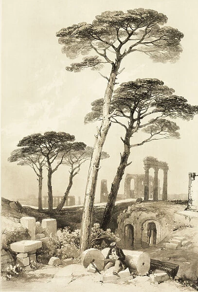 Stone Pines, from The Park and the Forest, 1841. Creator: James Duffield Harding