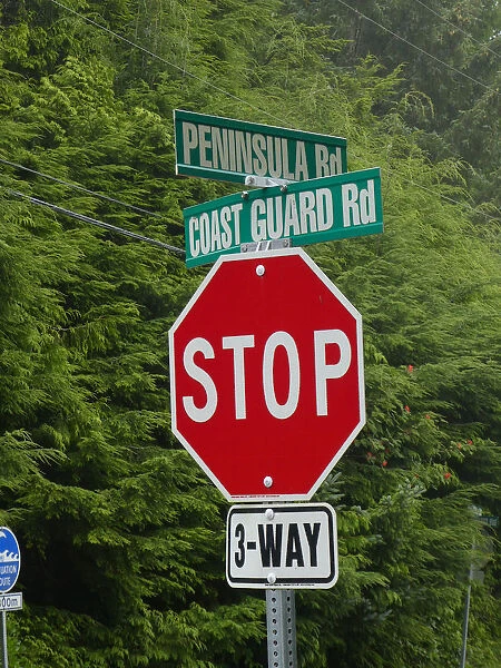 Stop road sign, British Columbia, Canada 2018. Creator: Unknown
