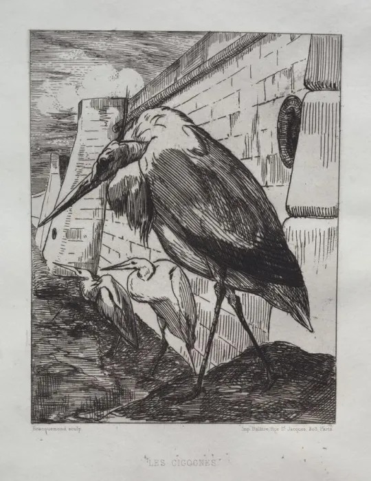Framed Print : The Storks, 1865. Creator: Felix Bracquemond (French, 1833-1914);Cadart & Luquet, Paris Framed Print : The Storks, 1865. Creator: Felix Bracquemond (French, 1833-1914);Cadart & Luquet, Paris