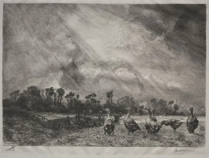 Framed Print : The Storm Cloud, 1878-1887. Creator: Felix Bracquemond (French, 1833-1914) Framed Print : The Storm Cloud, 1878-1887. Creator: Felix Bracquemond (French, 1833-1914)