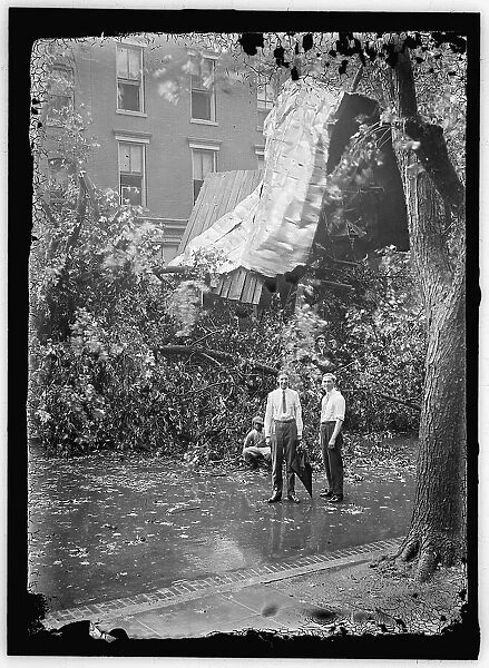 Storm damage, between 1913 and 1918. Creator: Harris & Ewing. Storm damage, between 1913 and 1918. Creator: Harris & Ewing