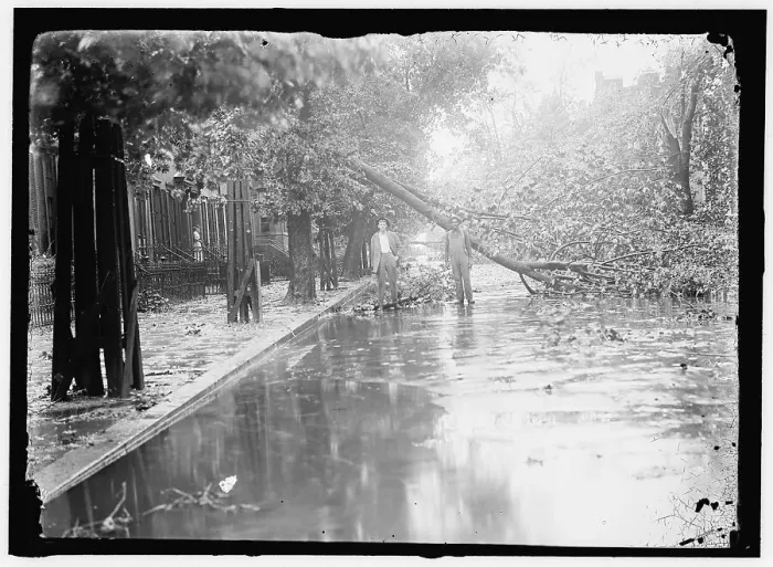 Framed Print : Storm damage, between 1913 and 1918. Creator: Harris & Ewing. Storm damage, between 1913 and 1918. Creator: Harris & Ewing Framed Print : Storm damage, between 1913 and 1918. Creator: Harris & Ewing. Storm damage, between 1913 and 1918. Creator: Harris & Ewing