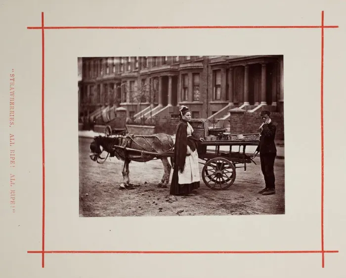 Framed Print : Strawberries. All ripe! All ripe!, 1877. Creator: John Thomson Framed Print : Strawberries. All ripe! All ripe!, 1877. Creator: John Thomson