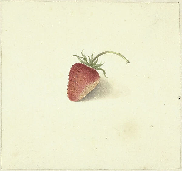 Strawberry, 1818-1853. Creator: Elisabeth Geertruida van de Kasteele