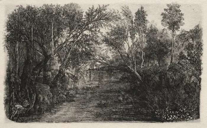 Framed Print : The Stream, 1880. Creator: Rodolphe Bresdin (French, 1822-1885) Framed Print : The Stream, 1880. Creator: Rodolphe Bresdin (French, 1822-1885)