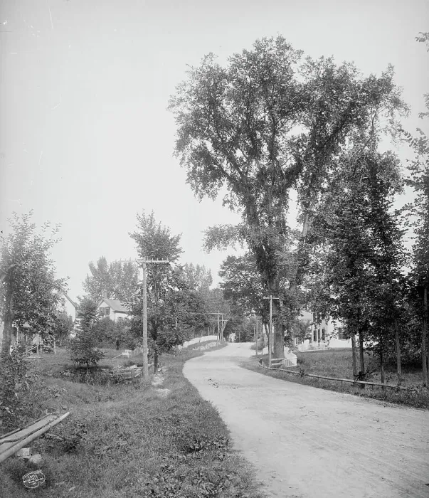 Framed Print : Street in Alton Bay, Lake Winnipesaukee, N.H. A, c1906. Creator: Unknown Framed Print : Street in Alton Bay, Lake Winnipesaukee, N.H. A, c1906. Creator: Unknown