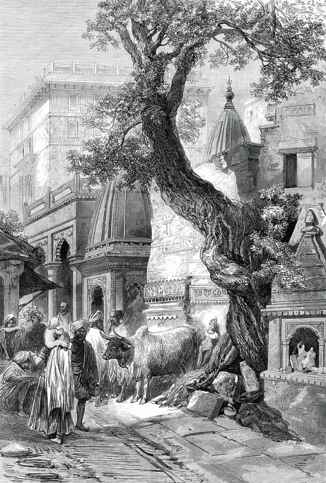 Framed Print : Street in Benares, from a sketch by of our special artists, 1876. Creator: Unknown Framed Print : Street in Benares, from a sketch by of our special artists, 1876. Creator: Unknown