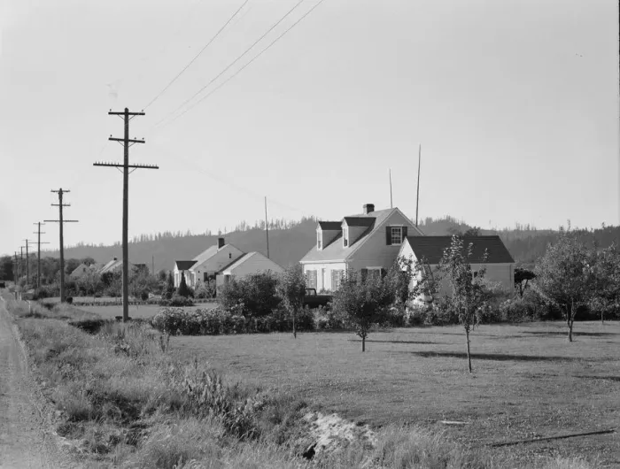 Framed Print : Down one street on Longview homestead project, Cowlitz County, Washington, 1939. Creator: Dorothea Lange Framed Print : Down one street on Longview homestead project, Cowlitz County, Washington, 1939. Creator: Dorothea Lange