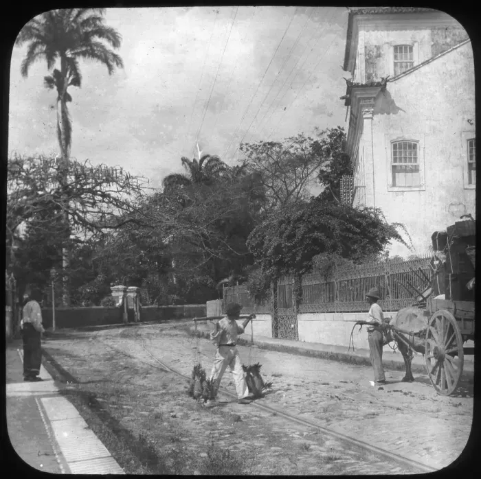 Framed Print : Street scene, Pernambuco, Brazil, late 19th or early 20th century Framed Print : Street scene, Pernambuco, Brazil, late 19th or early 20th century
