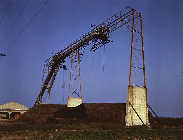 Part of string bean factory and field system, Seabrook Farm, Bridgeton, N. J. 1942. Creator: John Collier