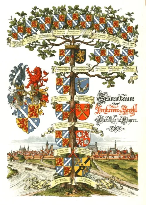 Framed Print : Strohl Heraldic Tree. Artist: H Strohl Framed Print : Strohl Heraldic Tree. Artist: H Strohl