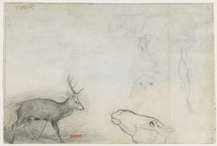 Framed Print : Studies of Animals (verso). Creator: Antoine-Louis Barye (French, 1796-1875) Framed Print : Studies of Animals (verso). Creator: Antoine-Louis Barye (French, 1796-1875)
