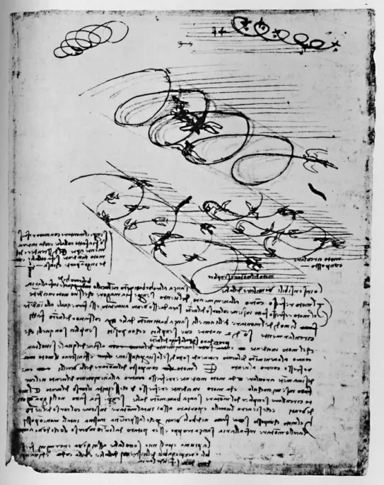 Framed Print : Studies of Birds in Flight When Rising and Circling, 1928. Artist: Leonardo da Vinci Framed Print : Studies of Birds in Flight When Rising and Circling, 1928. Artist: Leonardo da Vinci
