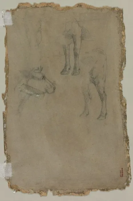 Framed Print : Studies of a Bull, 1864. Creator: Johan Barthold Jongkind (Dutch, 1819-1891), possibly by Framed Print : Studies of a Bull, 1864. Creator: Johan Barthold Jongkind (Dutch, 1819-1891), possibly by