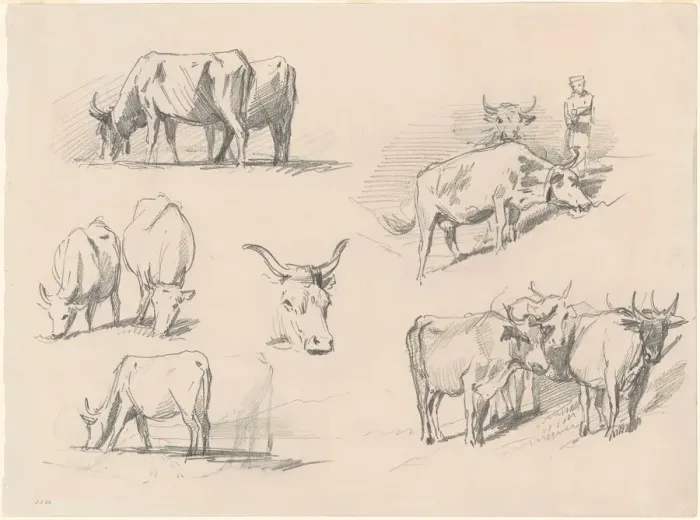 Framed Print : Studies of Cattle, c. 1872. Creator: John Singer Sargent Framed Print : Studies of Cattle, c. 1872. Creator: John Singer Sargent