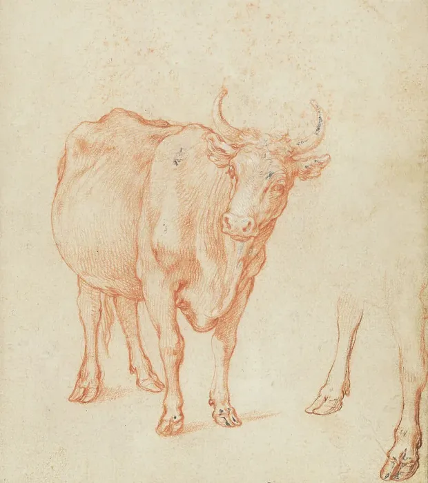 Framed Print : Studies of a cow, c.1603. Creator: Abraham Bloemaert Framed Print : Studies of a cow, c.1603. Creator: Abraham Bloemaert