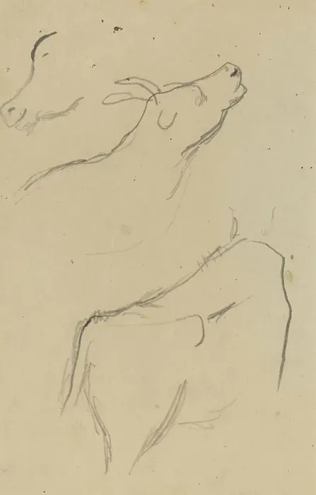 Framed Print : Studies of a Cow [verso], 1884-1888. Creator: Paul Gauguin