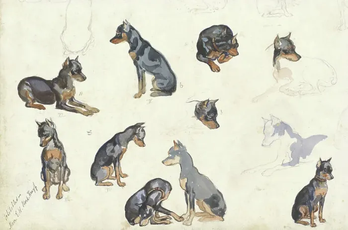 Framed Print : Studies of a dog, 1880-1946. Creator: Anna Maria Kruijff Framed Print : Studies of a dog, 1880-1946. Creator: Anna Maria Kruijff