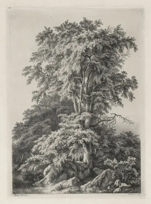 Framed Print : Studies Drawn and Engraved after Nature: The Beach, Fontainbleau... 1840. Creator Framed Print : Studies Drawn and Engraved after Nature: The Beach, Fontainbleau... 1840. Creator