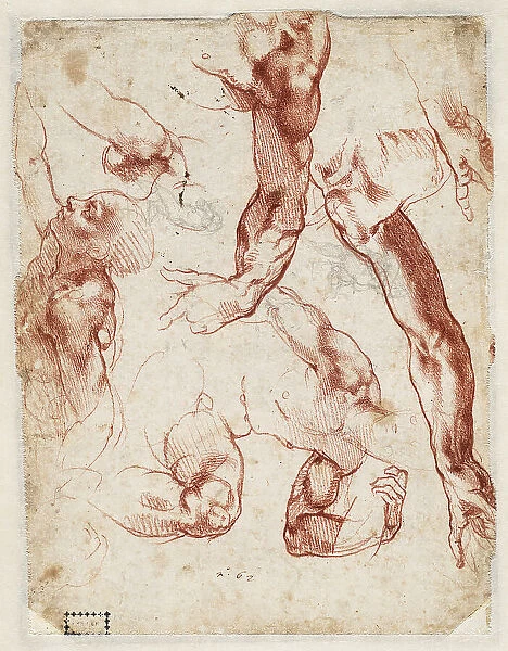 Studies of figures and limbs, 1511. Creator: Buonarroti, Michelangelo (1475-1564)