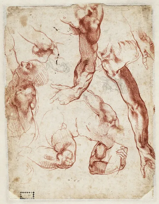 Framed Print : Studies of figures and limbs, 1511. Creator: Buonarroti, Michelangelo (1475-1564) Framed Print : Studies of figures and limbs, 1511. Creator: Buonarroti, Michelangelo (1475-1564)