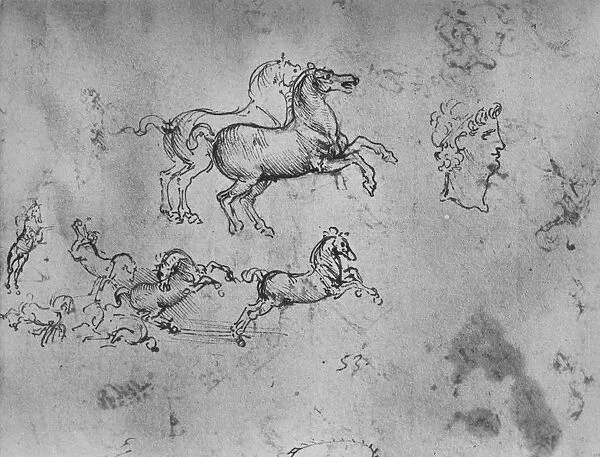Studies of Galloping Horses and a Head, c1480 (1945). Artist: Leonardo da Vinci