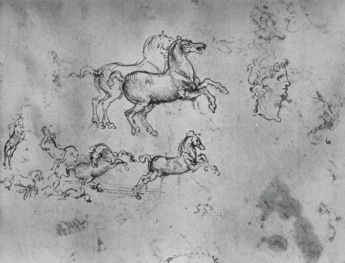 Framed Print : Studies of Galloping Horses and a Head, c1480 (1945). Artist: Leonardo da Vinci Framed Print : Studies of Galloping Horses and a Head, c1480 (1945). Artist: Leonardo da Vinci