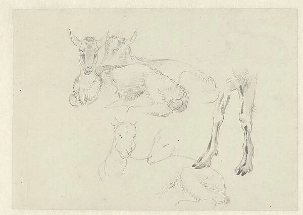Studies of Goats, c.1809-c.1812. Creator: Josephus Augustus Knip