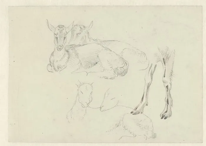 Framed Print : Studies of Goats, c.1809-c.1812. Creator: Josephus Augustus Knip Framed Print : Studies of Goats, c.1809-c.1812. Creator: Josephus Augustus Knip