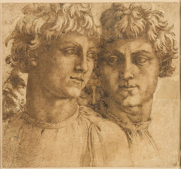 Two Studies of the Head of a Youth, c.1550. Creator: Baccio Bandinelli