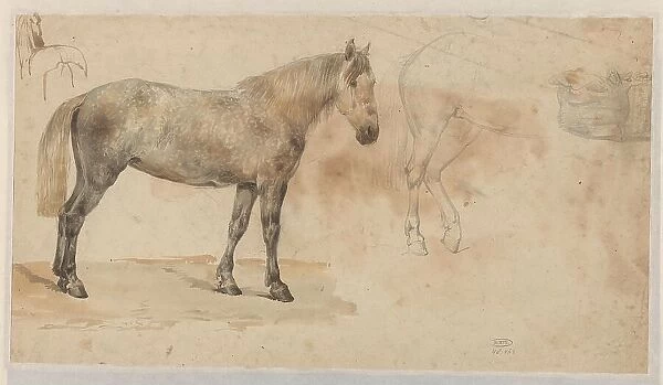 Studies of a horse, 1845-1926. Creator: Willem Carel Nakken