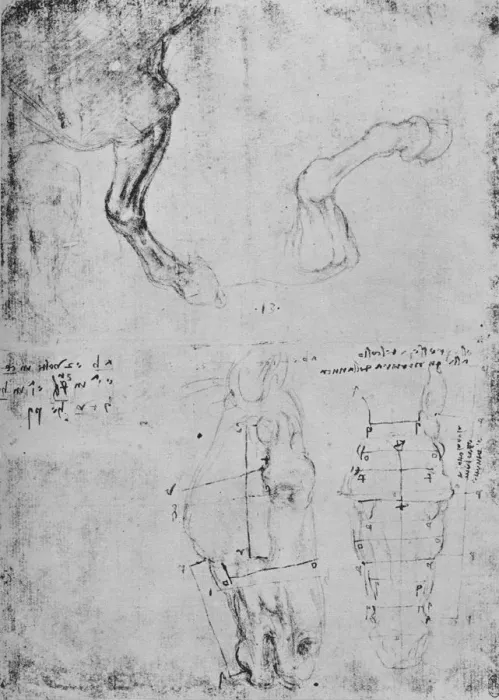 Framed Print : Studies of Horses Fore-Legs and Measured Drawings of Horses Heads, c1480 (1945). Artist: Leonardo da Vinci Framed Print : Studies of Horses Fore-Legs and Measured Drawings of Horses Heads, c1480 (1945). Artist: Leonardo da Vinci