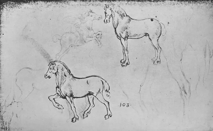 Framed Print : Two Studies of Horses, One of a Galloping Horseman and Others of Horses Legs, c1480 (1945). Artist: Leonardo da Vinci Framed Print : Two Studies of Horses, One of a Galloping Horseman and Others of Horses Legs, c1480 (1945). Artist: Leonardo da Vinci