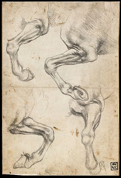 Studies of Horses Leg. Artist: Leonardo da Vinci (1452-1519)