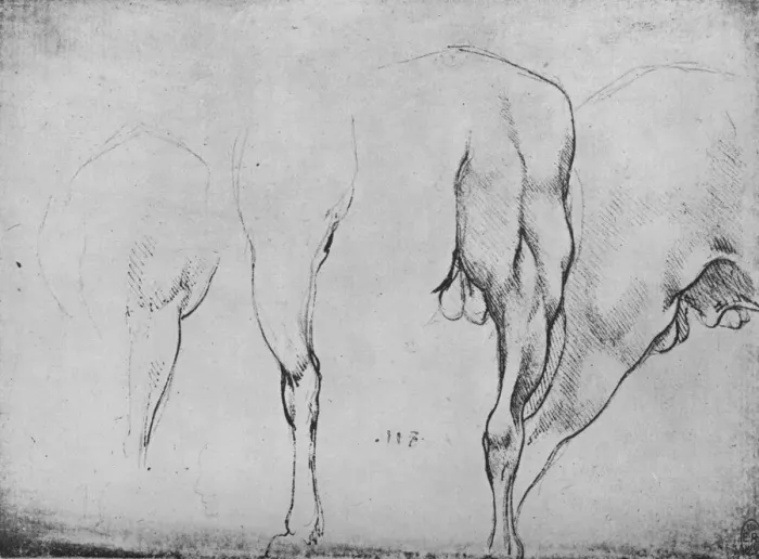 Framed Print : Studies of Horses Legs, c1480 (1945). Artist: Leonardo da Vinci Framed Print : Studies of Horses Legs, c1480 (1945). Artist: Leonardo da Vinci