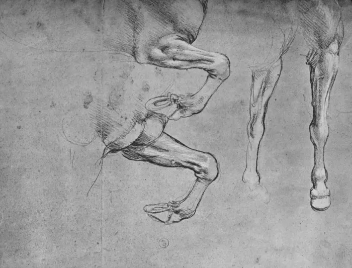 Framed Print : Four Studies of Horses Legs, c1480 (1945). Artist: Leonardo da Vinci Framed Print : Four Studies of Horses Legs, c1480 (1945). Artist: Leonardo da Vinci