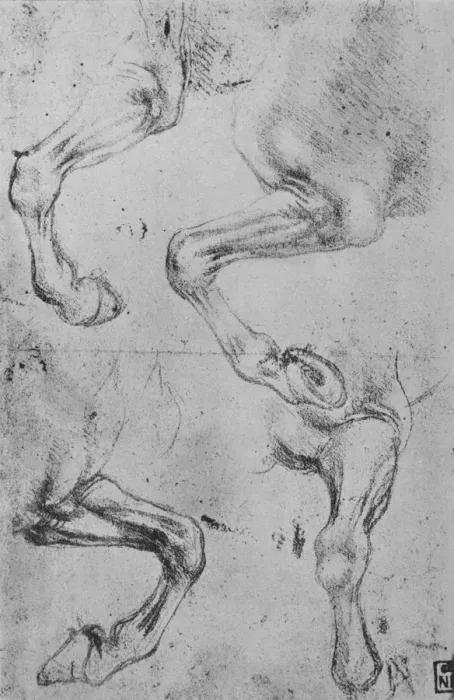 Framed Print : Four Studies of Horses Legs, c1480 (1945). Artist: Leonardo da Vinci Framed Print : Four Studies of Horses Legs, c1480 (1945). Artist: Leonardo da Vinci