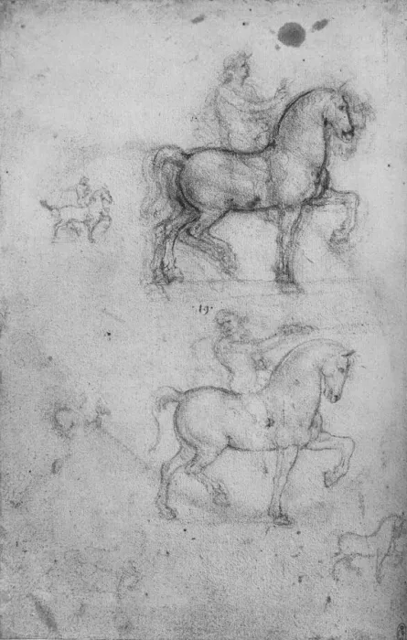 Framed Print : Two Studies of Horses and Riders and Smaller Studies of Horses, c1480 (1945). Artist: Leonardo da Vinci Framed Print : Two Studies of Horses and Riders and Smaller Studies of Horses, c1480 (1945). Artist: Leonardo da Vinci