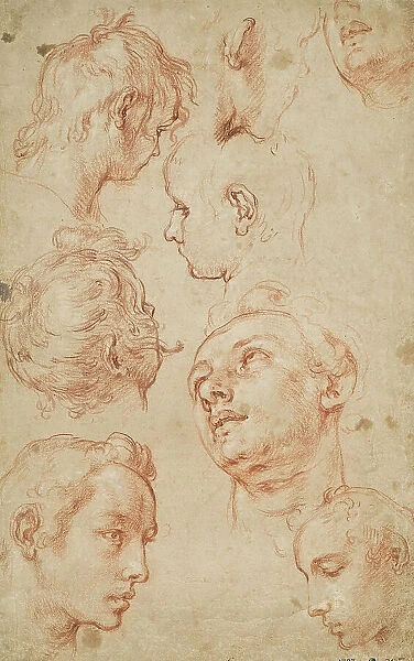 Eight studies of male heads. Creator: Abraham Bloemaert