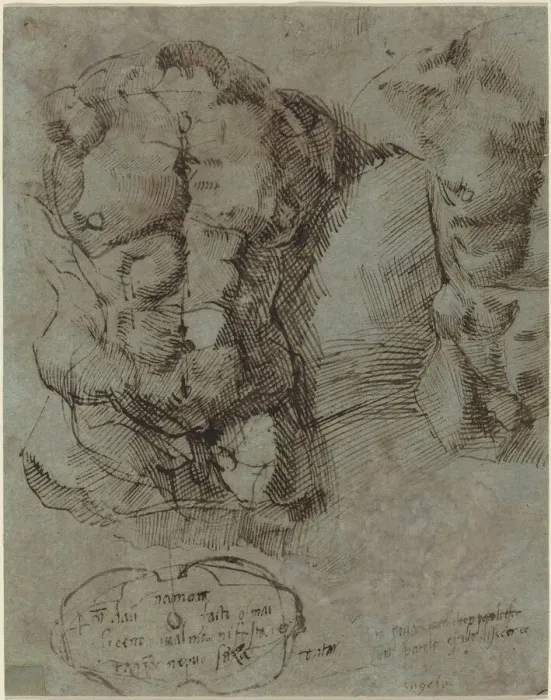 Framed Print : Studies of a Male Torso, c. 1524. Creator: Unknown Framed Print : Studies of a Male Torso, c. 1524. Creator: Unknown