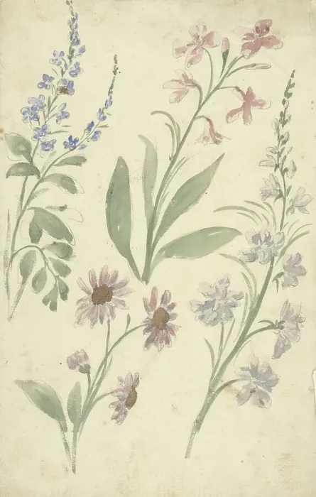 Framed Print : Four studies of pink and blue flowers, 1677-1755. Creator: Elias van Nijmegen Framed Print : Four studies of pink and blue flowers, 1677-1755. Creator: Elias van Nijmegen